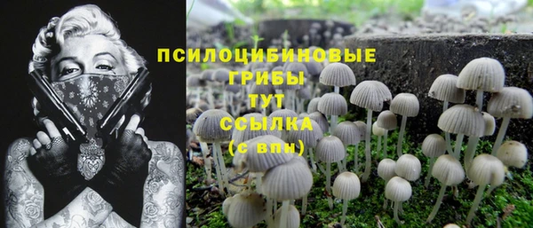 MDMA Алексеевка