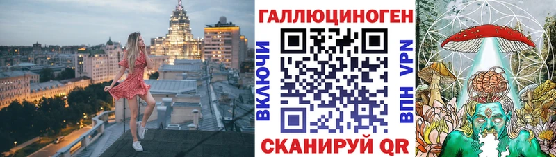 Псилоцибиновые грибы Psilocybine cubensis Динская